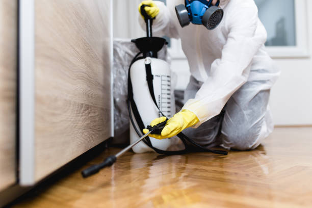 Best Insect Control  in Pacific Grove, CA