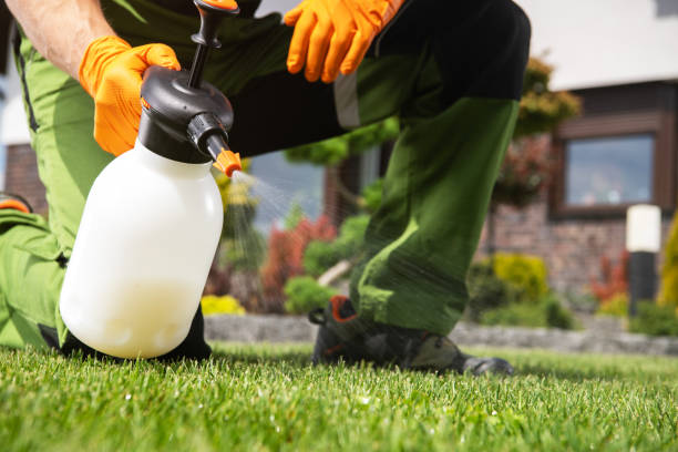 Best Wildlife Control Services  in Pacific Grove, CA