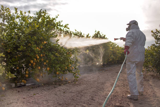 Best Pest Control Near Me  in Pacific Grove, CA
