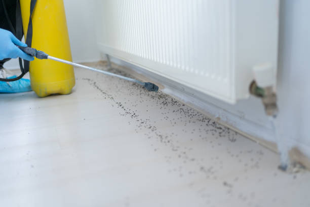 Best Bed Bug Extermination  in Pacific Grove, CA