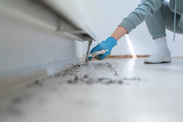 Best Affordable Pest Control Services  in Pacific Grove, CA